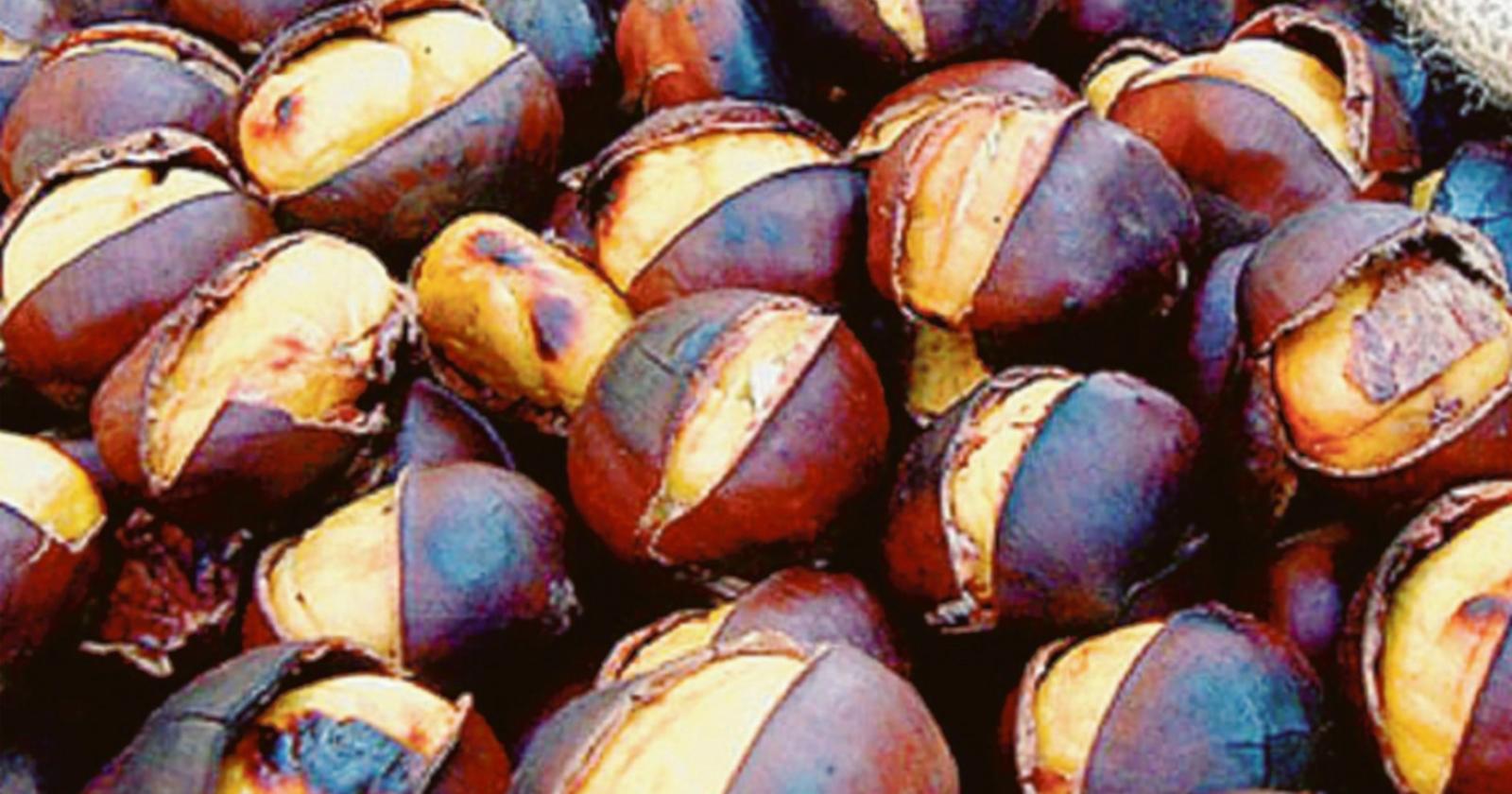 Castagne, miele, vino e bellezza