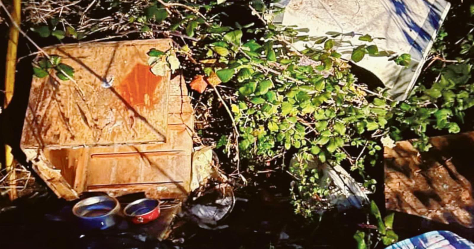 Vandali distruggono i ripari dei gatti 