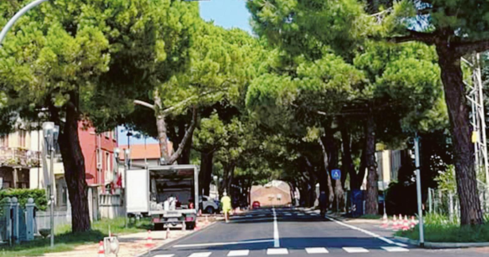 Albero abbattuto: “Era pericoloso”