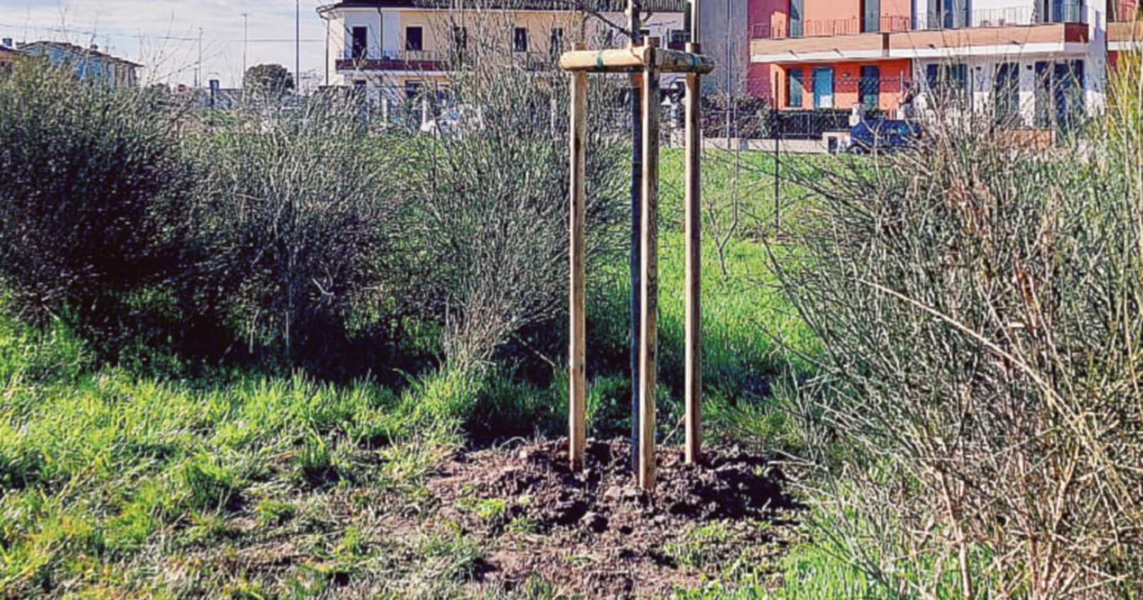 Al via la cura degli spazi urbani