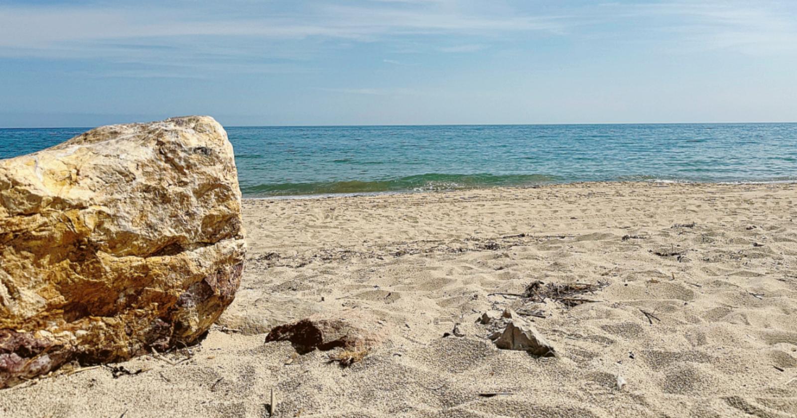 746 reati ambientali lungo il litorale veneto nel 2024