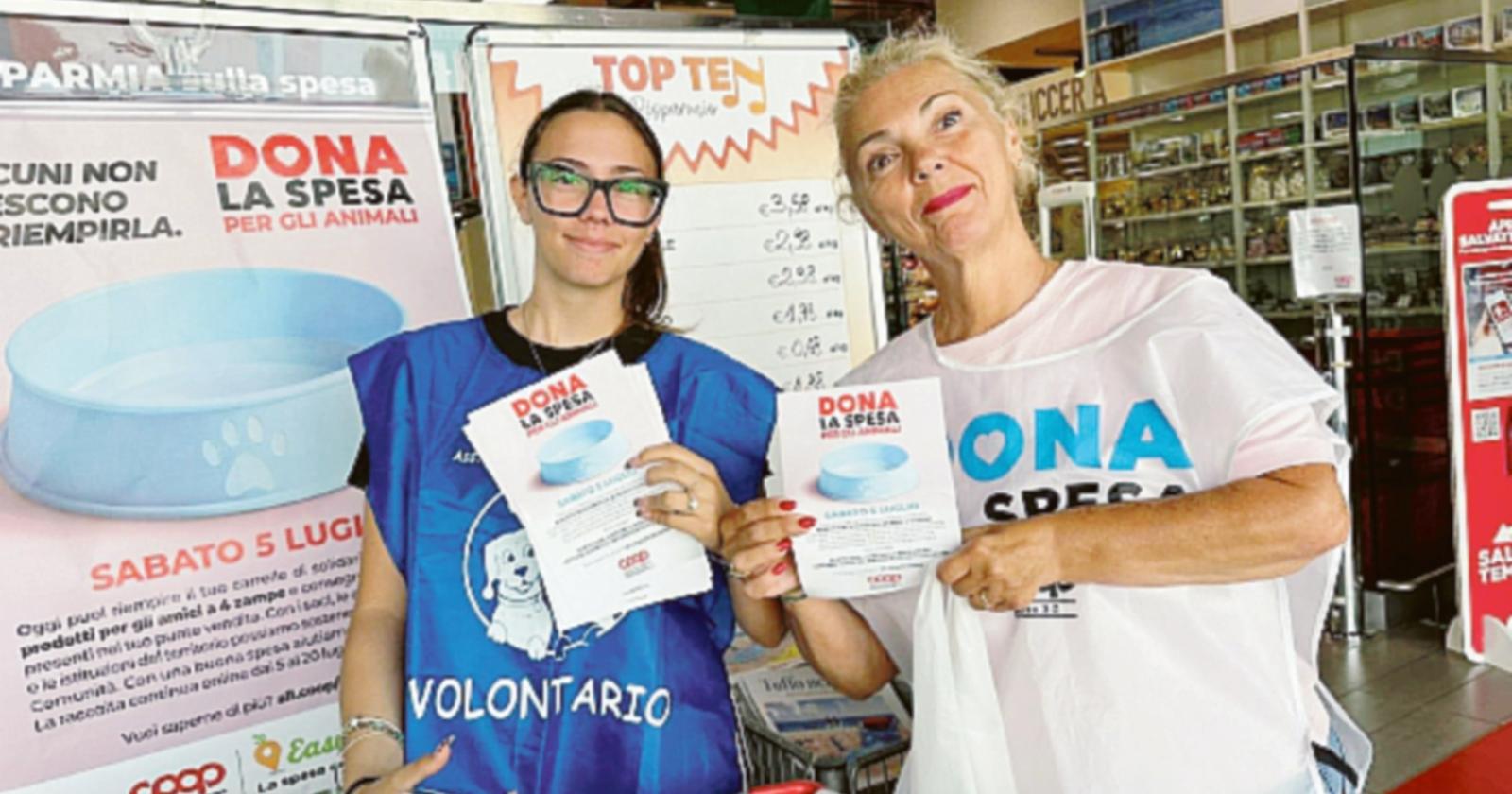 Tante crocchette per i cani che sono soli