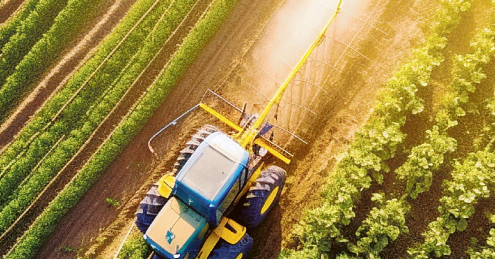 I campi sono smart e sostenibili