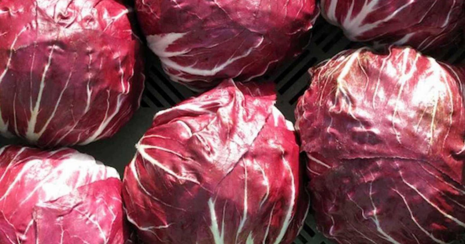 Il radicchio star della tv