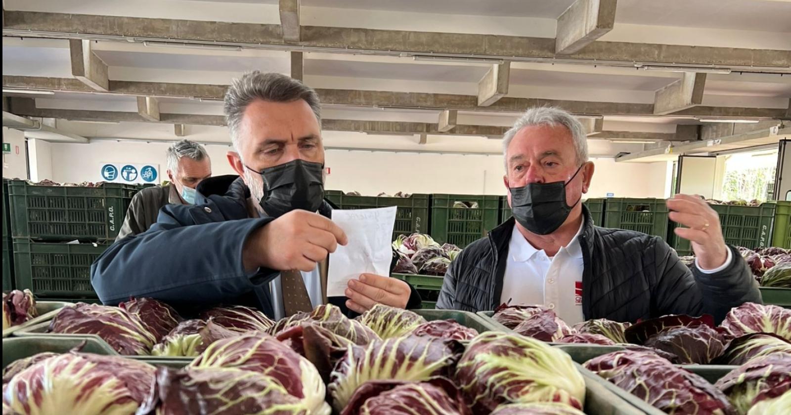 Radicchio all’asta, il prezzo è giusto!