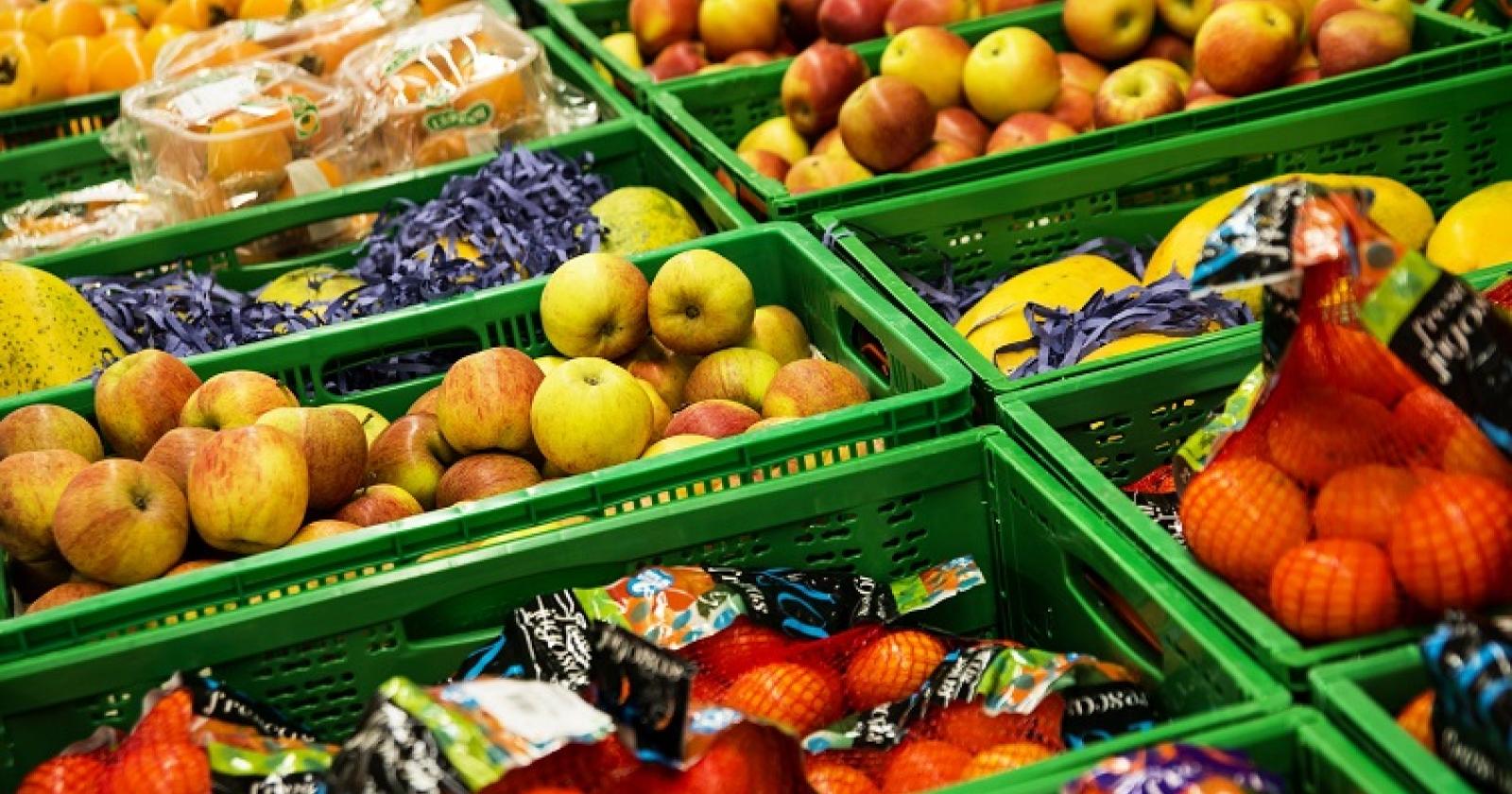 Industria agroalimentare, aziende a confronto sui nuovi trend dell'export