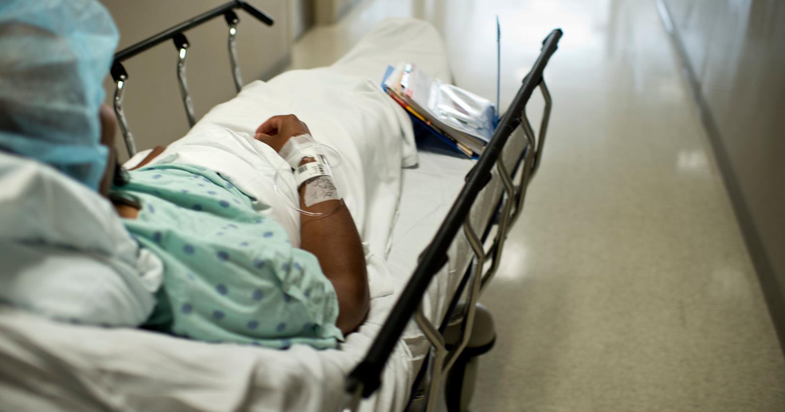 West Nile: un uomo in terapia intensiva