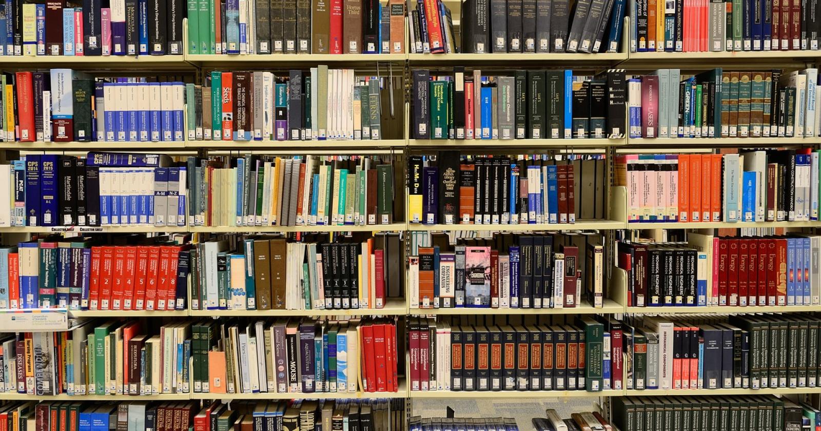 Storie, diritti e futuro al centro del dibattito continua la rassegna "Piazziamoci un libro"