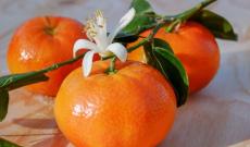 Riparte #OrangeConfagri: le clementine di Confagricoltura Donna contro la violenza sulle donne