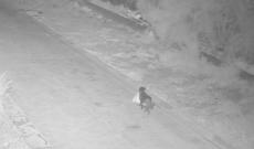 Addestra il cane a gettare i rifiuti illegalmente