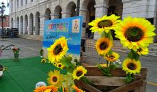 Il centro cittadino sboccia, tra colori, musica e tradizione&rdquo;