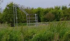 Erba alta in tutta la citt&agrave;: il Pd all&rsquo;attacco della giunta