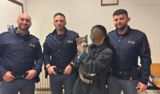 Rubano dall'auto, portato via anche il gatto