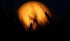 Il Veneto porta il cibo fino alla Luna