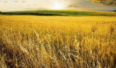 Welfare sicurezza e futuro dell&rsquo;agricoltura