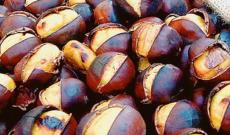 E' tempo di castagne, il dictat regionale