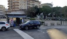 Via gli alberi: &ldquo;Vanno ripiantati&rdquo;