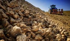 600 mila euro per salvare la filiera dello zucchero