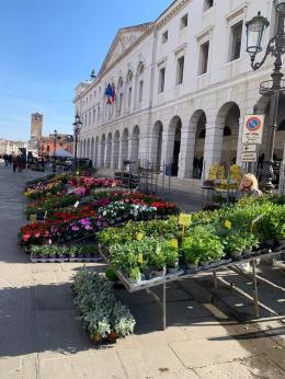 La città si colora di primavera