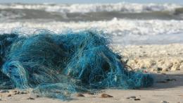 Polaris smaltirà anche i rifiuti della pesca di Chioggia