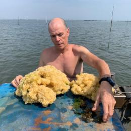 La crisi della molluschicoltura, 500 operatori a rischio