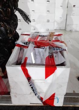 Pesce non tracciato in furgone non idoneo: 5.500 euro di multa