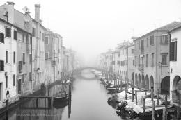 Scatti di città per “Ponti di vista"