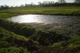 Argine sinistro dell'Adige, al via i lavori