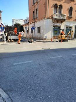 Nuove piante in piazzetta Ballarin