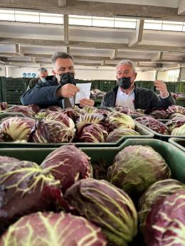 Radicchio all’asta, il prezzo è giusto!