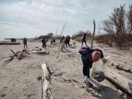 Trovato morto sulla spiaggia un delfino con la coda intrappolata