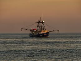 "Pesca, estendiamo il credito d'imposta fino a fine anno"