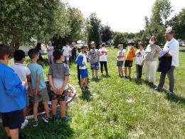 Le api salvate dai bimbi della primaria