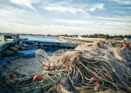 Pesca, ecco gli Stati generali