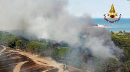 Trovata una tanica nella pineta: dietro al rogo l'ombra del dolo