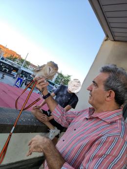 Barbagianni "clown" per 20 euro a foto e cane lasciato morire al caldo