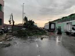 Il disastro in pochi istanti: 150 siti danneggiati, "è stato di crisi"