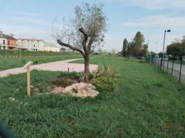 Parco di Valli, si intravede la luce
