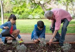 In citt&agrave; nasce il Bosco dei bambini