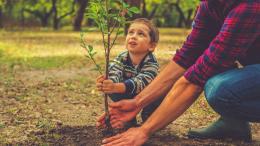 Giornata nazionale degli alberi tra ricordo e speranze