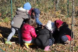 Un lunedì per celebrare gli alberi