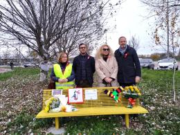 Parco Calisthenics con nuovi alberi