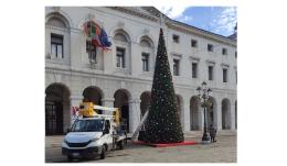 L'albero di Natale arriva davanti al municipio