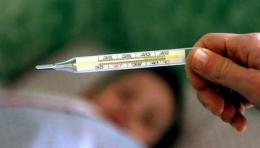L'estate virale: quando i virus non vanno in vacanza