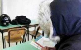 In classe a 14°: i ragazzi se ne vanno
