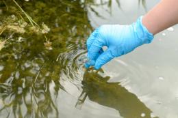 Bacino scolante della laguna di Venezia, convenzione per disinquinarla