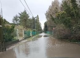 Via Pegorina, un fiume in piena