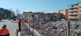 Viabilità e alberi, nodi da sciogliere