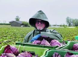 “Cuneo salino, serve la barriera”