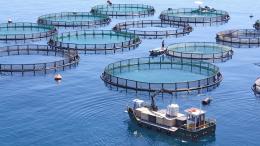 Blue Economy, ecco come applicarla